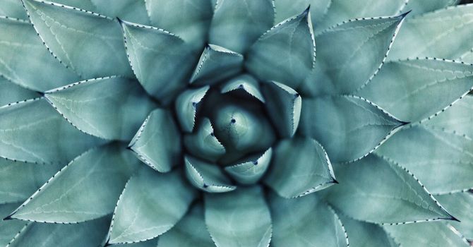 Integrative Medicine Consultation
